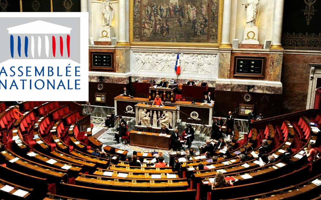 Assemblea Nacional francesa