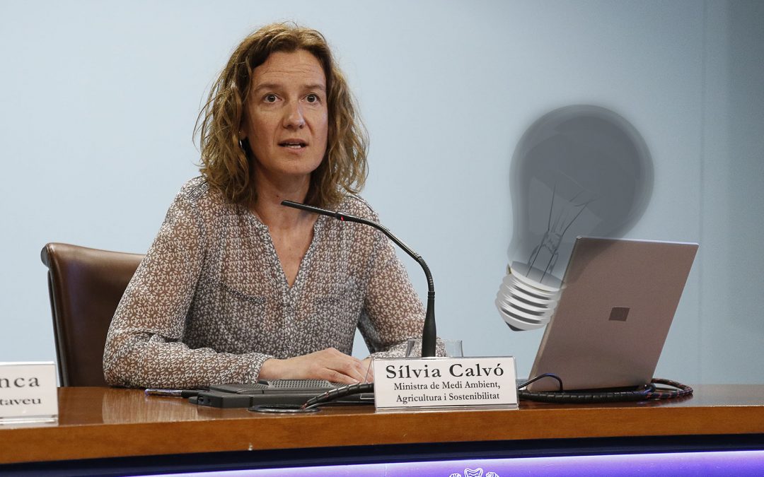 Silvia Calvó-llum fosa
